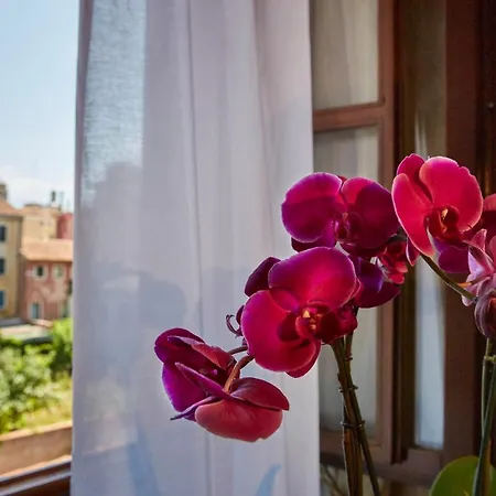 Orsaria Hotel Venetië