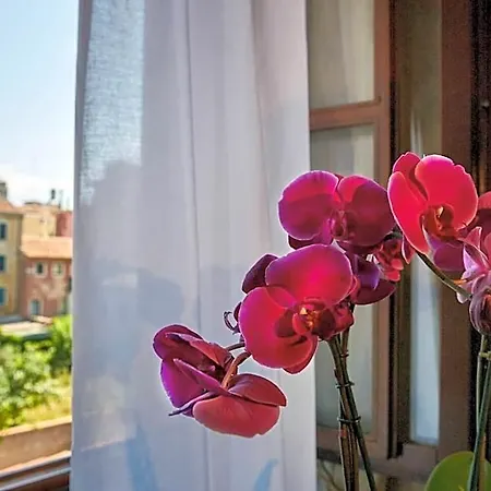 Orsaria 3* Venedig