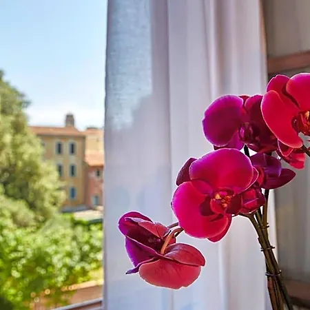 Orsaria 3* Venedig